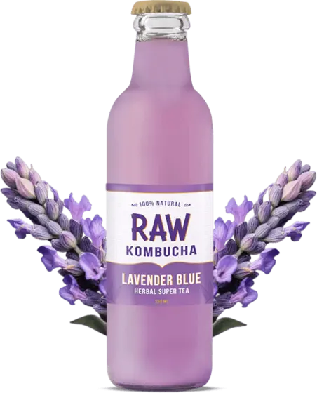 Raw Kombucha bottle