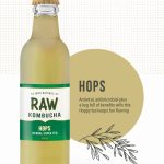 Hops Herbal Super Tea Kombucha (250ml)